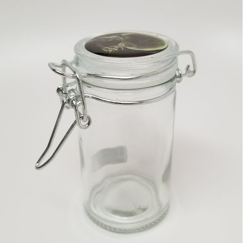 Stash Glass Jar Assorted Design Top
